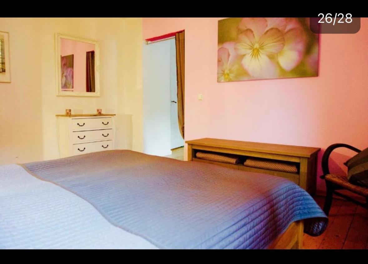 Apartment Moselblick Mit Kamin Traben-Trarbach Ngoại thất bức ảnh